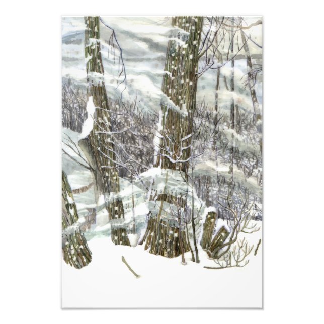 Foto Invierno (Frente)