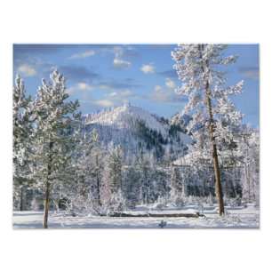 Foto Invierno en el Parque Nacional Yellowstone, Wyomin