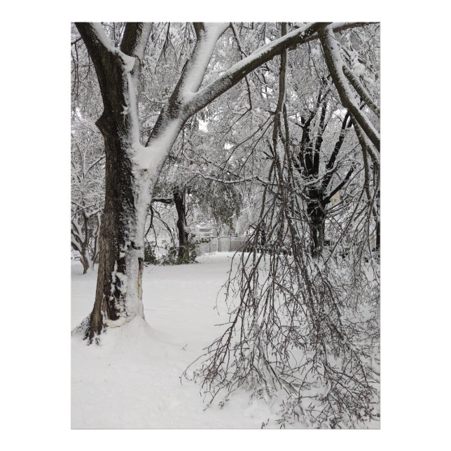 Foto Invierno en la Plaza Lafayette, Washington, DC (Frente)