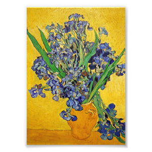 Foto Irises de Van Gogh