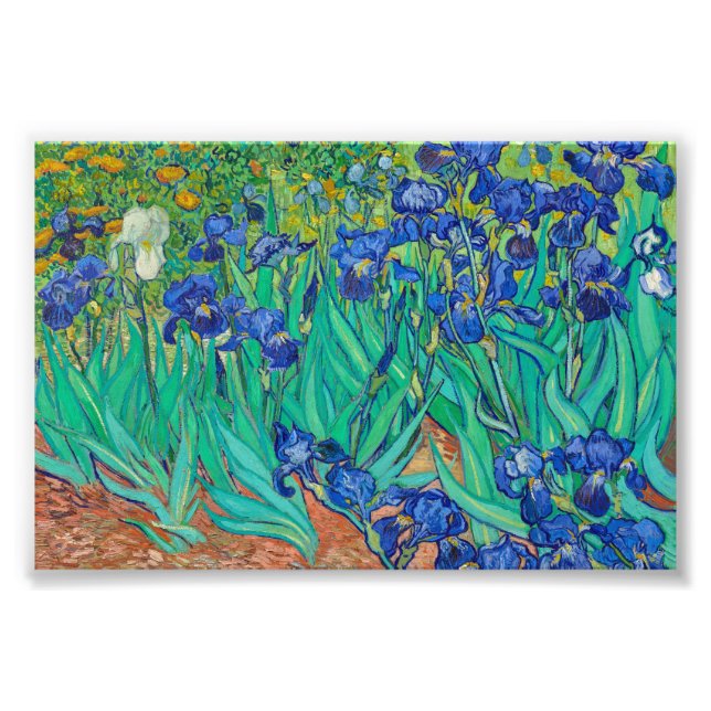Foto Irises de Vincent van Gogh (Frente)