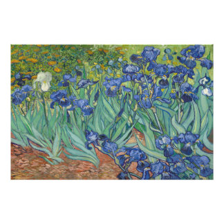 Foto Irises de Vincent van Gogh