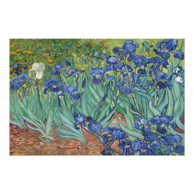 Foto Irises de Vincent van Gogh (Frente)