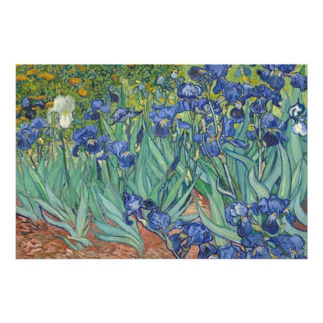 Foto Irises, Floral Oil Painting, Vincent Van Gogh (Frente)