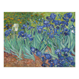 Foto Irises Vincent Van Gogh