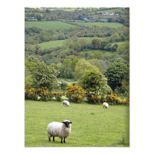 Foto Irlanda Occidental, Península de Dingle, ancha