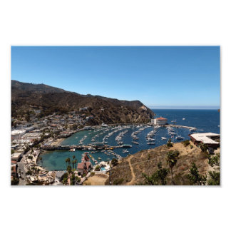 Foto Isla Santa Catalina