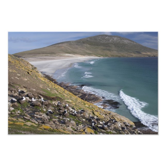 Foto Islas Malvinas, West Falkland, Saunders (Frente)