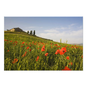 Foto Italia, Toscana, Villa Toscana en primavera con