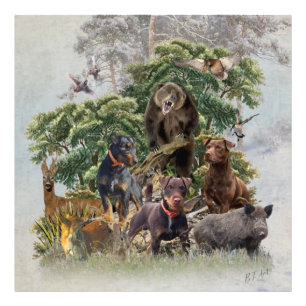 Foto Jagdterrier alemán , siempre listo para cazar