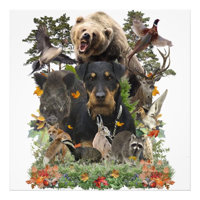 Foto Jagdterrier, un miedo de caza alemán (Frente)