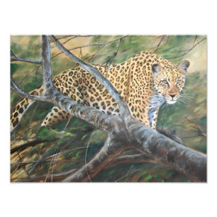 Foto Jaguar sobre el prostíbulo