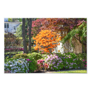 Foto Jardín Azalea Trail en Tyler, Texas