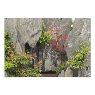 Foto Jardín de la familia Bao, Huangshan, China.
