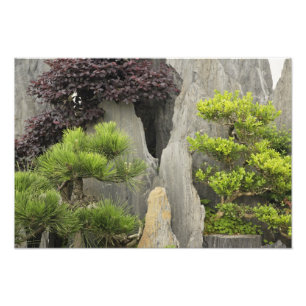 Foto Jardín de la familia Bao, Huangshan, China. 2