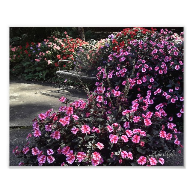 Foto Jardín del banco (Frente)