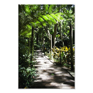 Foto Jardín del gigante dormido, Fiyi