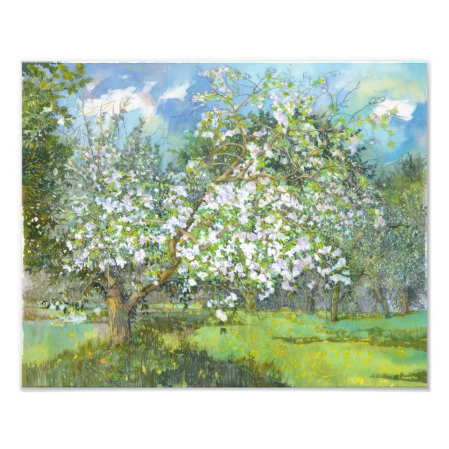 Foto Jardín floreciente (Frente)