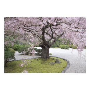 Foto Jardín Japonés de Portland, Portland, Oregón,