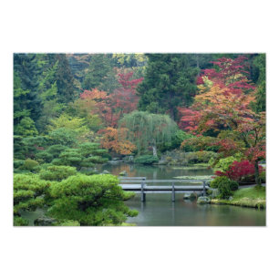 Foto Jardín Japonés en el Washington Park