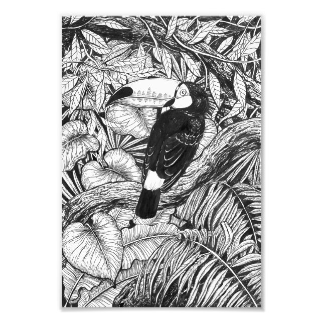 Foto Jardín tropical turístico (Frente)