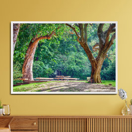 Foto Jardines de la fundación Calouste Gulbenkian.