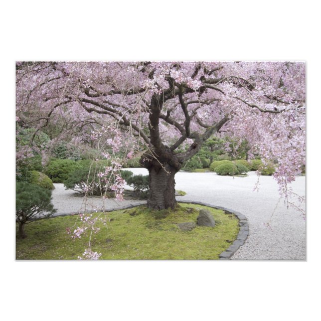 Foto Jardines japoneses de Portland, Portland, Oregón, (Frente)