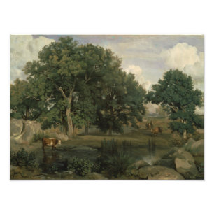 Foto Jean-Baptiste-Camille Corot - Bosque