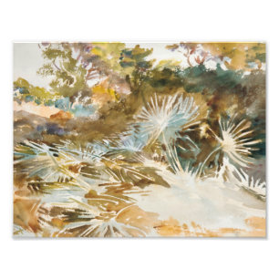 Foto John Singer Sargent - paisaje con los Palmettos