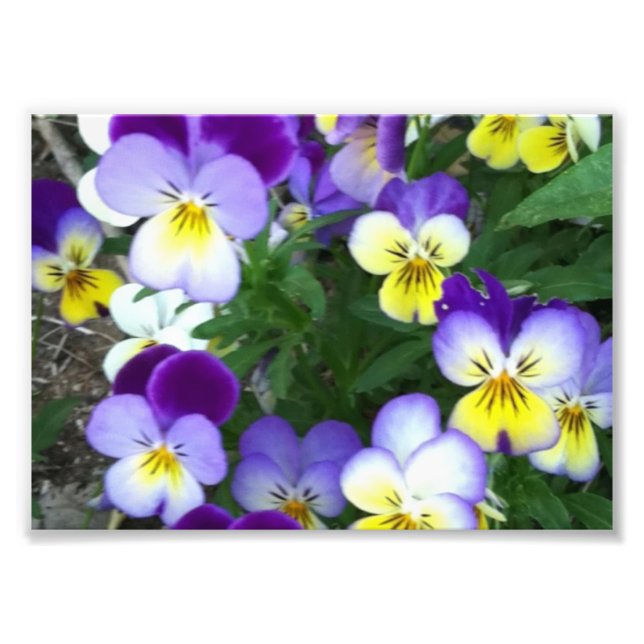 Foto Johnny salta hacia arriba (Frente)