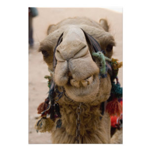 Foto Jordania, antigua ciudad Nabataea de Petra