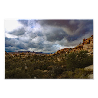 Foto Joshua Tree