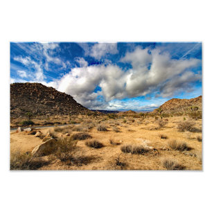 Foto Joshua Tree