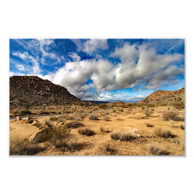Foto Joshua Tree (Frente)