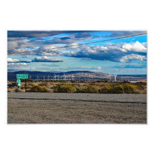 Foto Joshua Tree