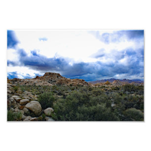 Foto Joshua Tree