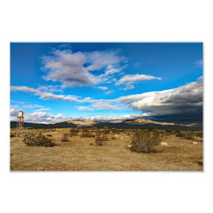 Foto Joshua Tree
