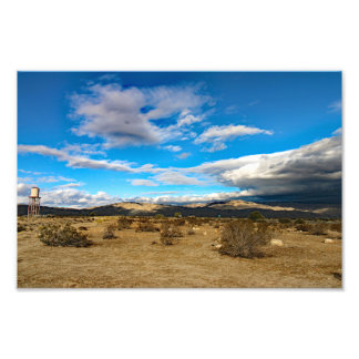 Foto Joshua Tree