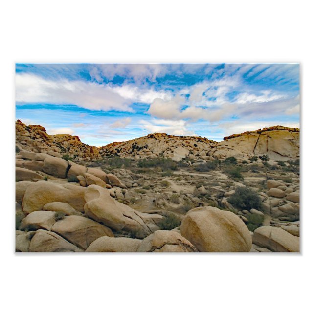 Foto Joshua Tree (Frente)