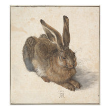 Joven liebre de Albrecht Durer