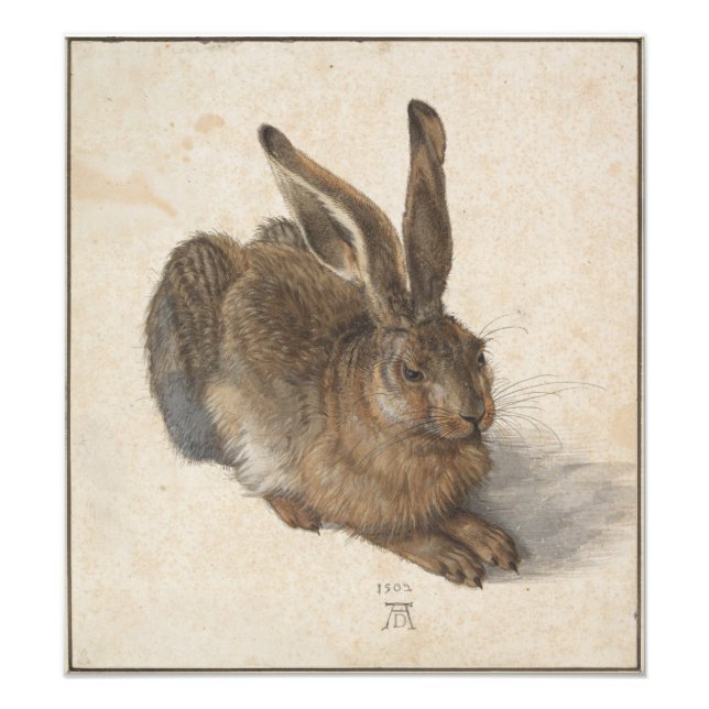 Foto Joven liebre de Albrecht Durer (Frente)