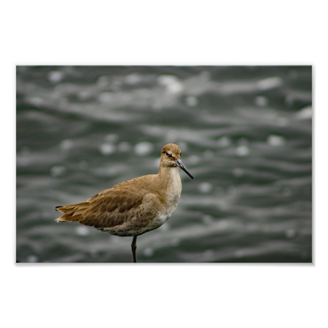 Foto Jugar al Rey (Frente)