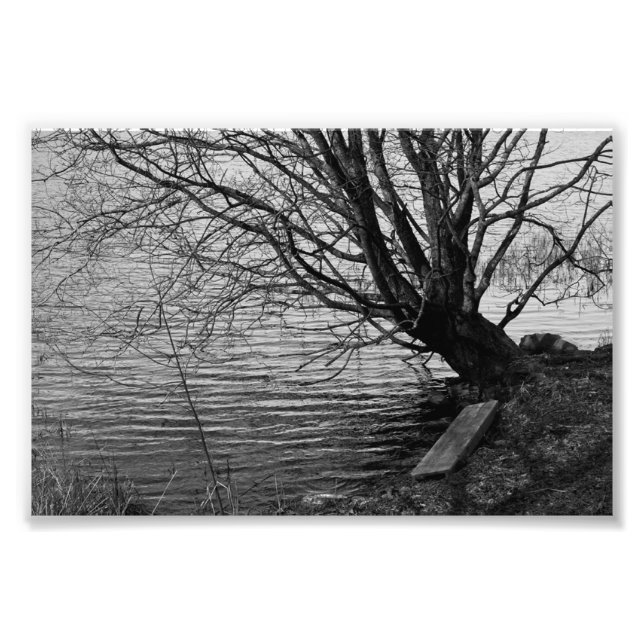 Foto Junto al lago (Frente)