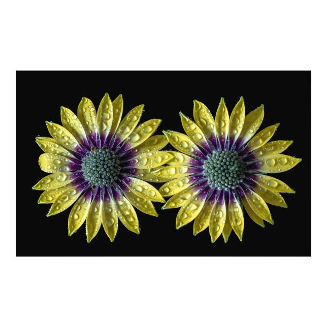 Foto Juntos, siempre (Frente)