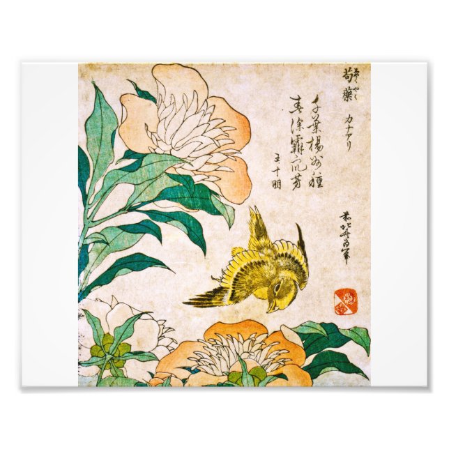 Foto Katsushika Hokusai - Peony Y Canary (Frente)