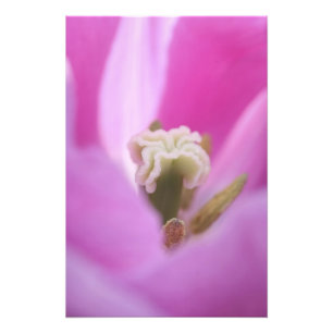 Foto Keukenhof Gardens, Holanda, se especializa en 3