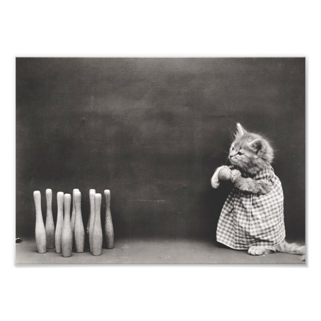 Foto Kitten Bowling (Frente)