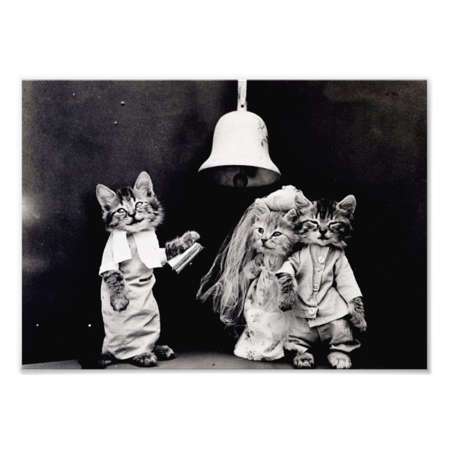 Foto Kitty Boda (Frente)