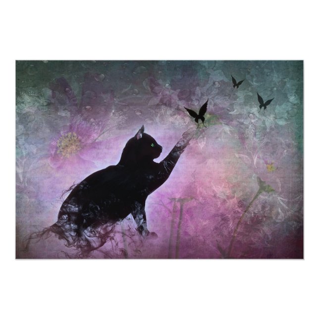 Foto Kitty Dreams (Frente)