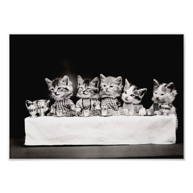 Foto Kitty Tea Fiesta (Frente)
